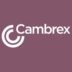 Softstyle T-Shirt Design