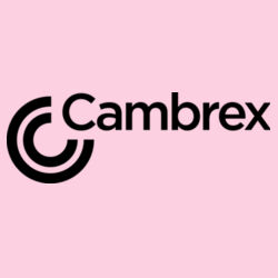 Fast Fashion Heavyweight Street Tee Design