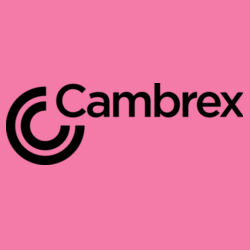 Softstyle ® Ladies T Shirt Design