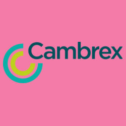 Softstyle ® Ladies T Shirt Design