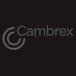 Pom-Pom 12" Knit Beanie Design